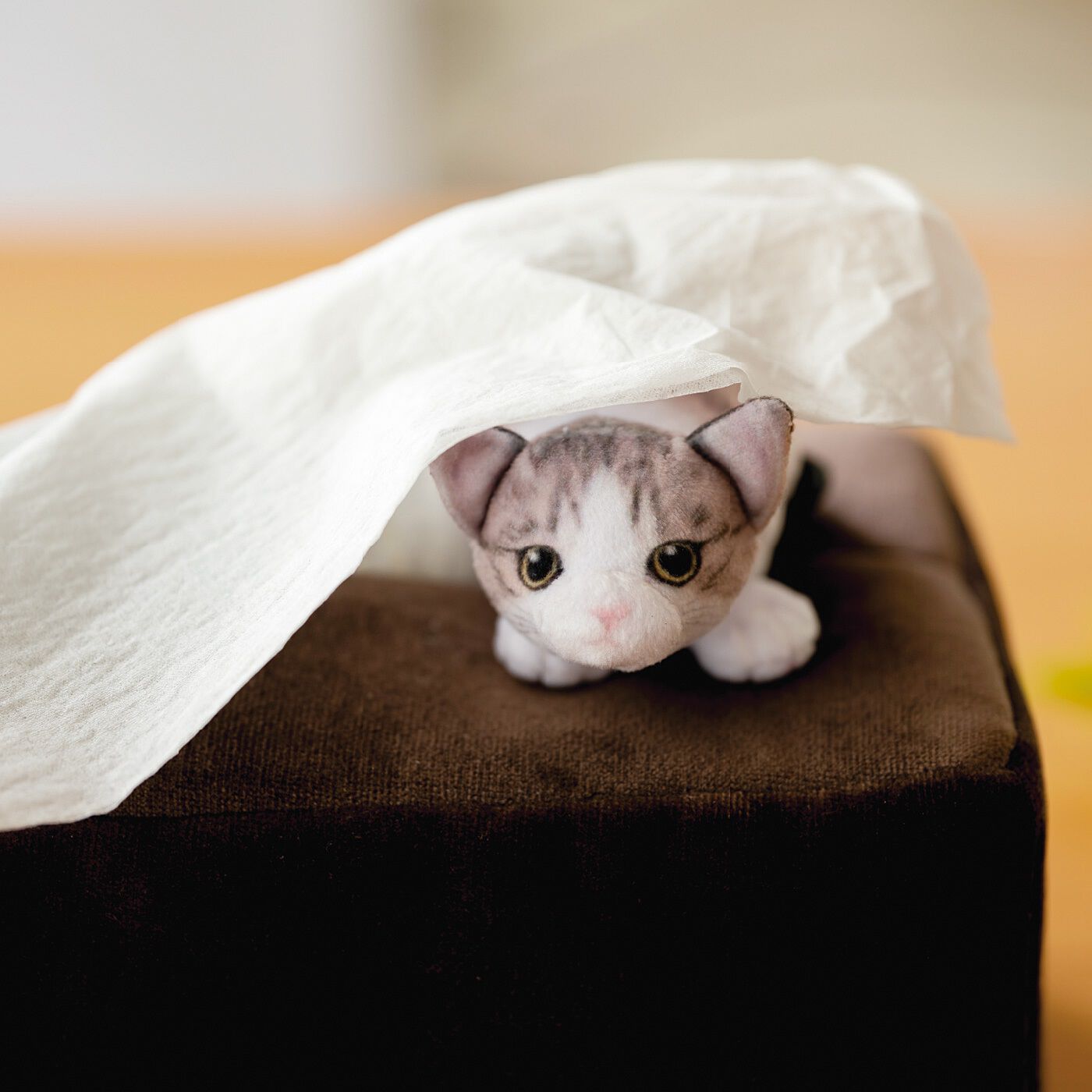 🇯🇵日本 小貓玩捉迷藏面紙盒套 Kitten hide-and-seek box tissue cover