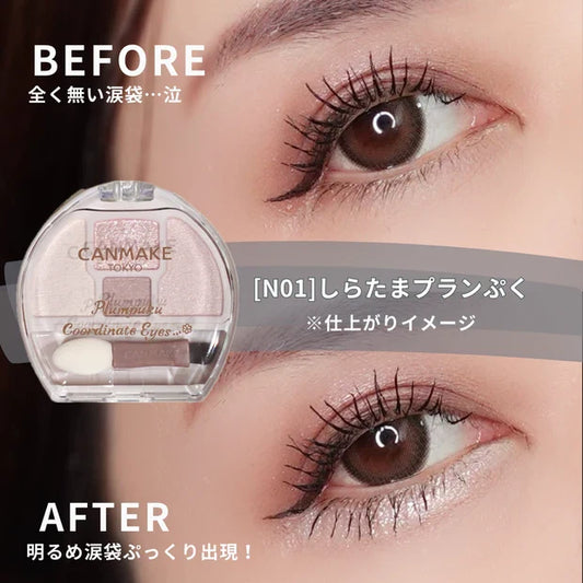 🇯🇵日本 CANMAKE Plumpuku Coordinate Eyes Neo N01 淺米色 豐盈淚袋眼影 キャンメイク プランぷくコーデアイズ