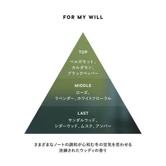 🇯🇵JAPAN ♥ SHIRO聖誕限定 2025 Holiday Perfume & Body Care LOTS OF LOVE / FOR MY WILL 🌳溫柔寧靜木質香&🌺華麗花香