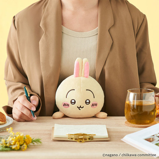 🇯🇵日本 ♡ CHIIKAWA 改善坐姿公仔 姿勢 矯正 Posture Pal Support for hunchback correction posture improvement ちいかわ ハチワレ うさぎ コラボ キャラクター