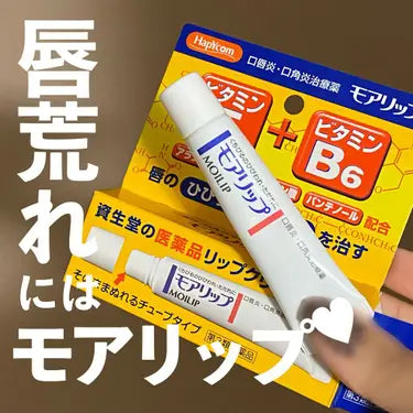 🇯🇵日本 SHISEIDO Moilip E+B6藥用護唇膏 資生堂 モアリップ 8g