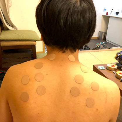 🇯🇵日本 NICHIBAN ROIHI-TSUBOKO 肩酸腰痛溫感 / 冰感 膏貼 Pain Relieving Patch ニチバン ロイヒつぼ膏