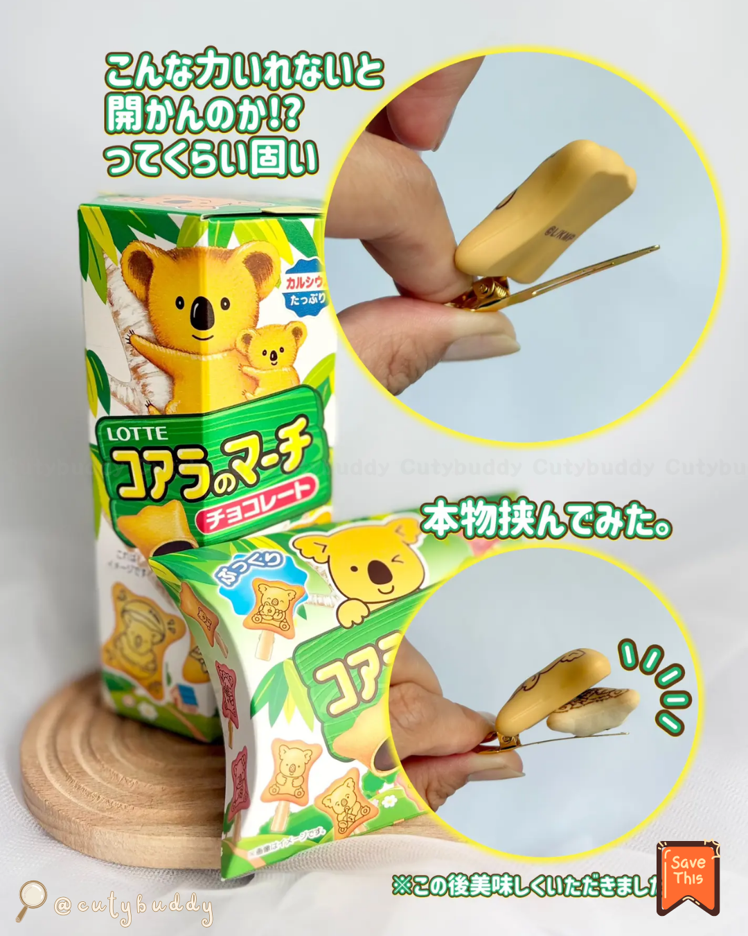 🇯🇵日本 ♡ LOTTE Koala's March Hair Clip (10 Types) (Blind Box) 樂天熊仔餅 小髮夾 ＜全10種＞