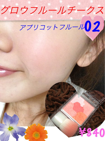 🇯🇵Japanese CANMAKE Glow Fleur Cheek