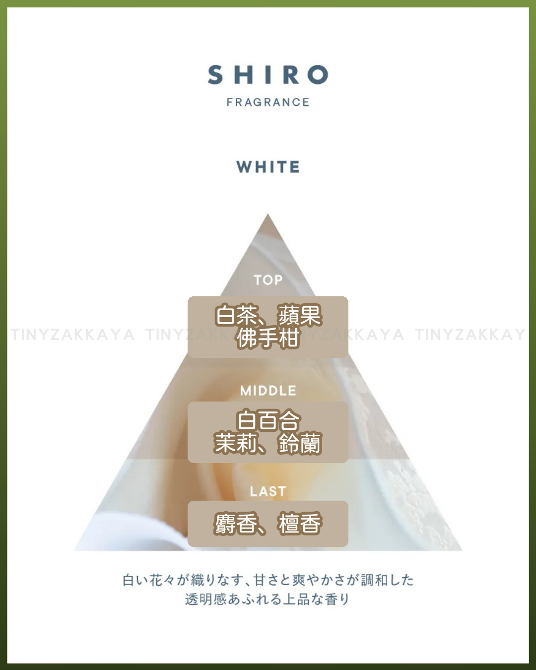 🇯🇵JAPAN♥ SHIRO 2025 Limited Fragrance WHITE Series 2025冬限定 白花 香氣系列
