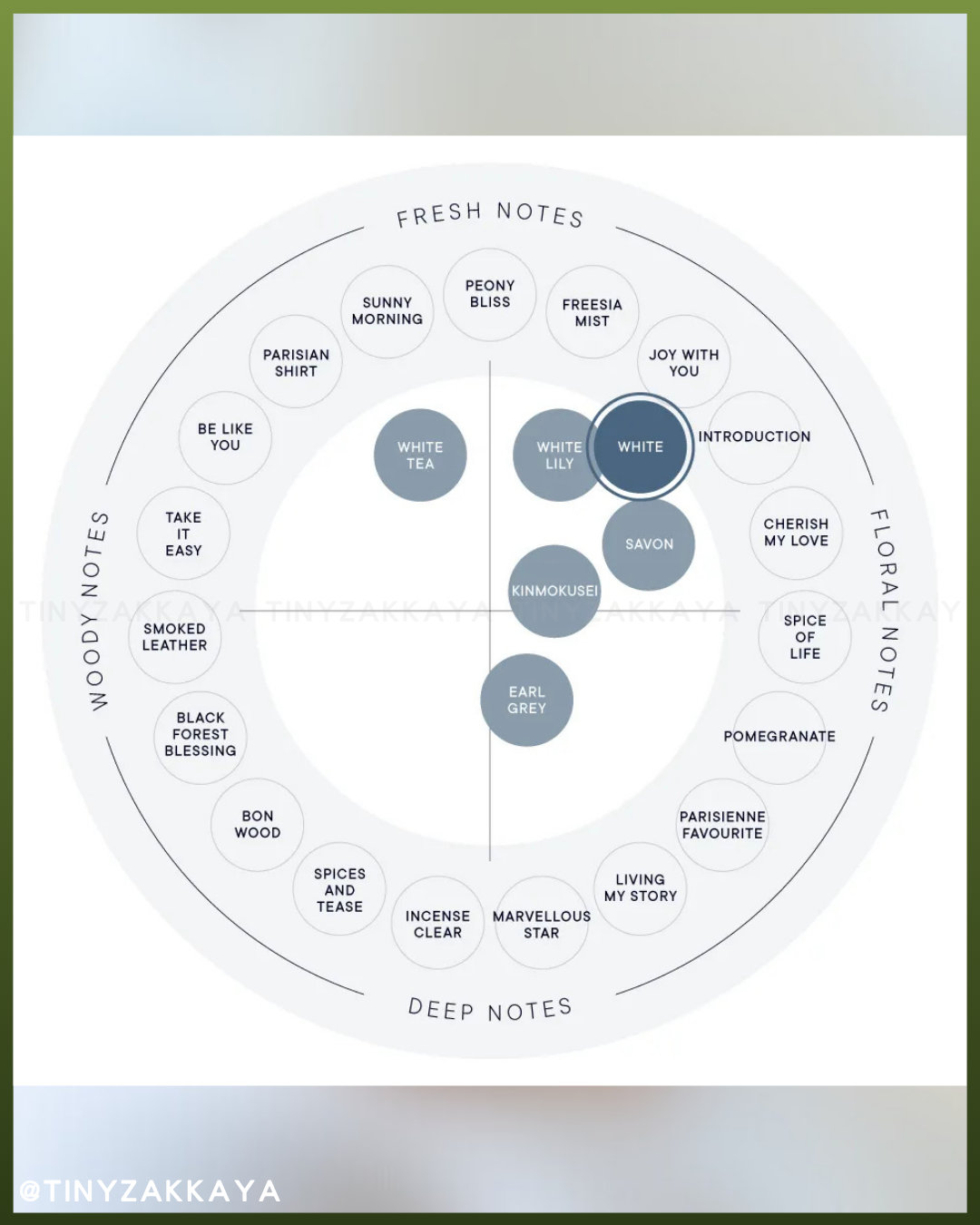 🇯🇵JAPAN♥ SHIRO 2025 Limited Fragrance WHITE Series 2025冬限定 白花 香氣系列