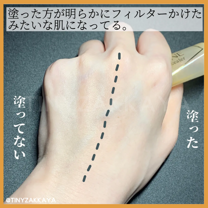 🇯🇵日本 CEZANNE 隱形毛孔修正遮瑕啫喱｜修飾雙頰與鼻頭惱人的粗大毛孔｜Poreless Concealer 11g セザンヌ 毛穴レスコンシーラー クリア