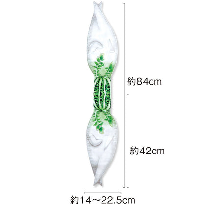 🇯🇵日本 Felissimo YOU+MORE！ 性感大根毛巾 フェリシモYOU+MORE!  セクシー大根タオル