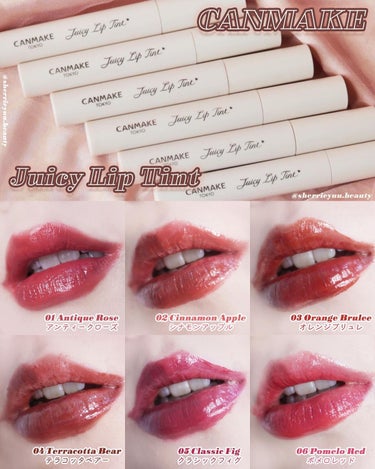 🇯🇵日本｜5分鐘打造完美水油比例｜CANMAKE  Juicy Lip Tint 果漾唇彩 キャンメイク ジューシーリップティント
