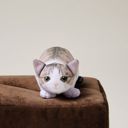 🇯🇵日本 小貓玩捉迷藏面紙盒套 Kitten hide-and-seek box tissue cover