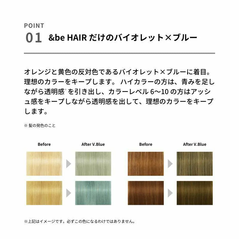 🇯🇵日本 河北裕介 &be 染燙後護色洗髮 Hair Color Shampoo V.Blue 280ml アンドビー カラーシャンプー V.Blue 河北メイク 河北裕介 メイクアップアーティスト