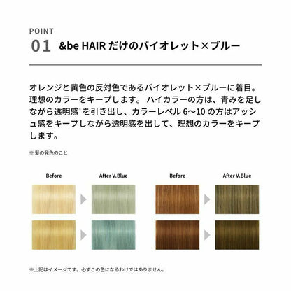 🇯🇵日本 河北裕介 &be 染燙後護色洗髮 Hair Color Shampoo V.Blue 280ml アンドビー カラーシャンプー V.Blue 河北メイク 河北裕介 メイクアップアーティスト