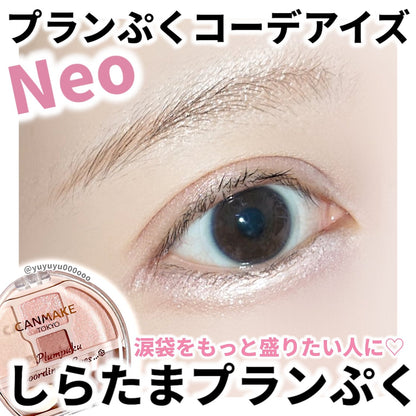 🇯🇵日本 CANMAKE Plumpuku Coordinate Eyes Neo N01 淺米色 豐盈淚袋眼影 キャンメイク  プランぷくコーデアイズ