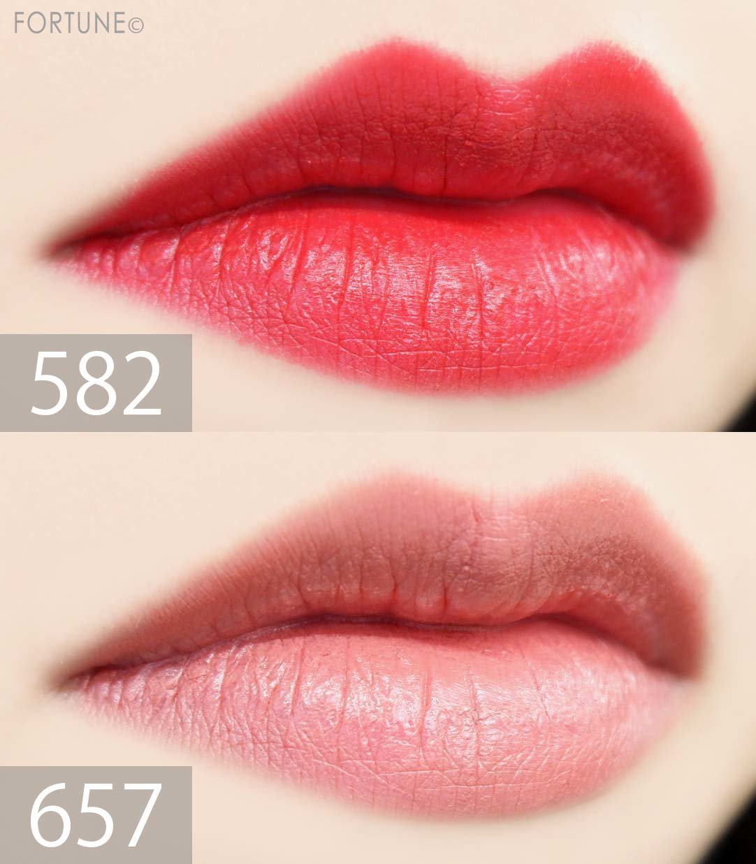 (每月優惠)🇯🇵日本 CHIFURE 持久啞緻細長型色澤藍管唇膏 Lipstick Rouge Y ちふれ リップスティック