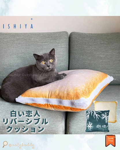 🇯🇵日本 ♡ Shiroi Koibito (White Lover) Cushion 北海道白い恋人雙面抱枕