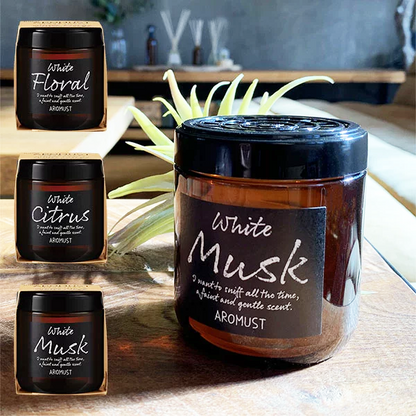 🇯🇵日本｜淡淡的不刺鼻，持久飄香｜晴香堂 AROMUST 室內消臭香薰膏 (3款香味) Seikodo Aromast 晴香堂 アロマスト ホワイトムスク 【 芳香剤・部屋用 】