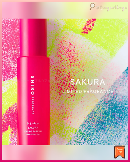 🇯🇵日本 ♥&nbsp; SHIRO 2026 15週年限定 櫻花🌸系列 \ 新鮮果實與花朵交織而成的春季限定🌸櫻花香氣 /