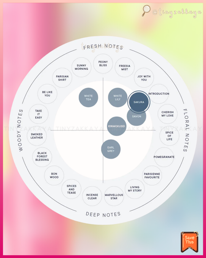 🇯🇵日本 ♥&nbsp; SHIRO 2026 15週年限定 櫻花🌸系列 \ 新鮮果實與花朵交織而成的春季限定🌸櫻花香氣 /