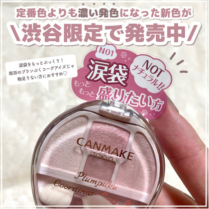 🇯🇵日本 CANMAKE Plumpuku Coordinate Eyes Neo N01 淺米色 豐盈淚袋眼影 キャンメイク  プランぷくコーデアイズ