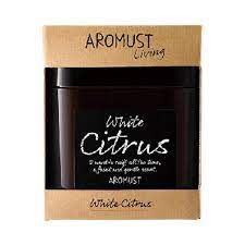 🇯🇵日本｜淡淡的不刺鼻，持久飄香｜晴香堂 AROMUST 室內消臭香薰膏 (3款香味) Seikodo Aromast 晴香堂 アロマスト ホワイトムスク 【 芳香剤・部屋用 】