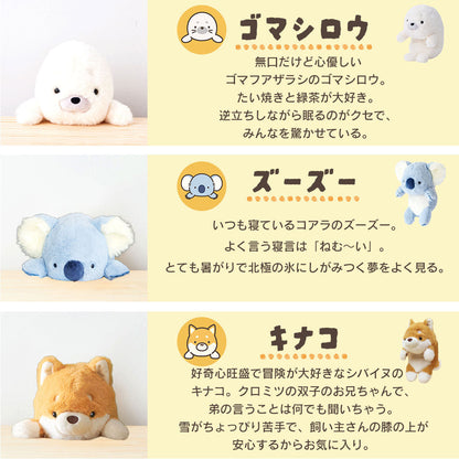 🇯🇵Japan♡ Cute animals to improve sitting posture Posture Pal Support for hunchback correction posture improvement koala, Shiba dog, rabbit, rabbit, mouse, otter, sealサポートコアラShiba Inuうさぎはりねずみカワウソアザラシ