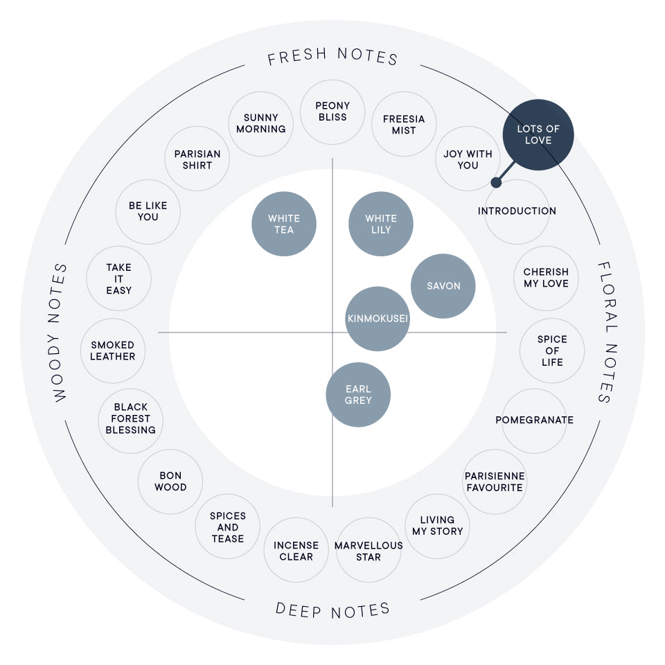 🇯🇵JAPAN ♥ SHIRO聖誕限定 2025 Holiday Perfume & Body Care LOTS OF LOVE / FOR MY WILL 🌳溫柔寧靜木質香＆🌺華麗花香