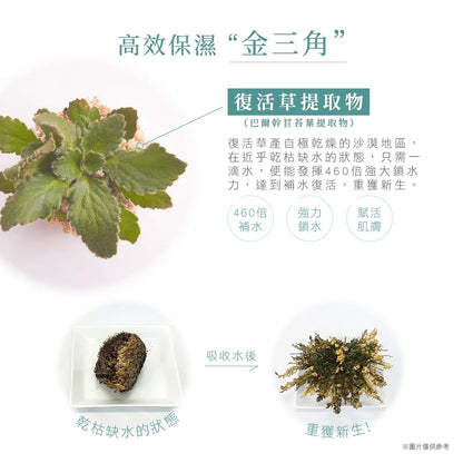 🇯🇵Japan♥ BB LABORATORIES Moist Cream Mask Pro. 175g Moist Cream Mask Pro.