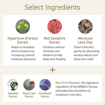 🇯🇵日本 ORBIS U wash 芯生悠潔面乳 120g オルビス オルビスユー ウォッシュ