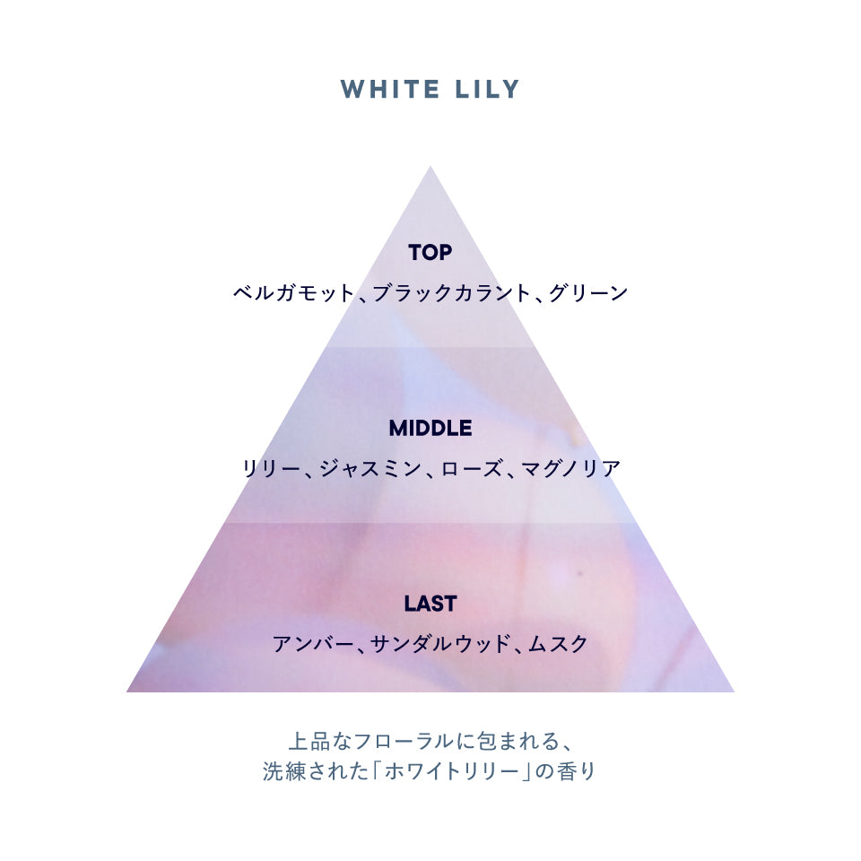 🇯🇵日本 SHIRO 迷你香水  MINI EAU DE PARFUM シロ オードパルファン ミニサイズ