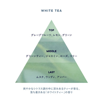 🇯🇵日本 SHIRO 迷你香水  MINI EAU DE PARFUM シロ オードパルファン ミニサイズ